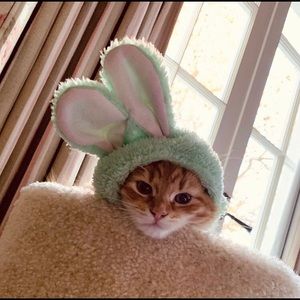 Meet your Posher, Mireya